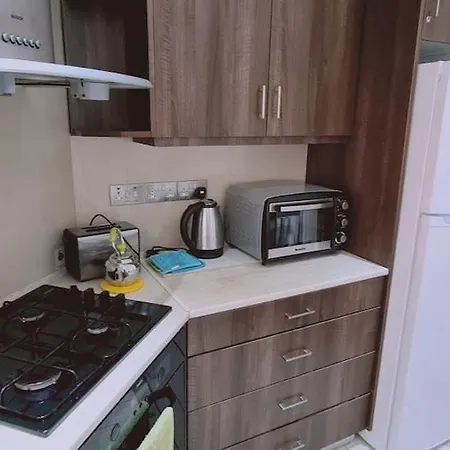 Garden Flat דירה לרנקה